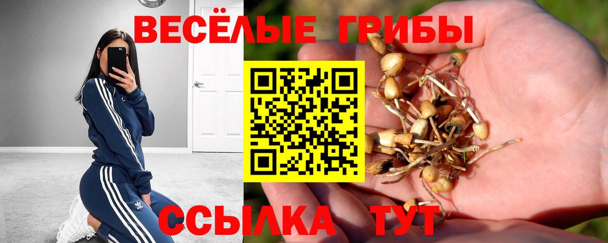Лосино-Петровский  где купить наркоту  Вход с VPN  Псилоцибиновые грибы MAGIC MUSHROOMS 