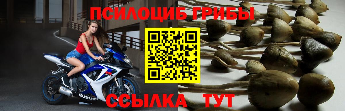 Псилоцибиновые грибы ЛСД Лосино-Петровский